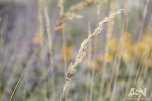 Отдых в апреле-2019: сколько будет выходных у украинцев