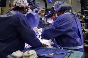  Сердце генно-модифицированной свиньи пересадили пациенту, у которого не было другой возможности выжить