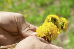 Народные приметы на 27 июля 2023 года: что нельзя делать в этот день