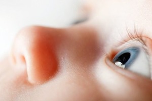 В глазу ребенка обнаружили 11 живых червей