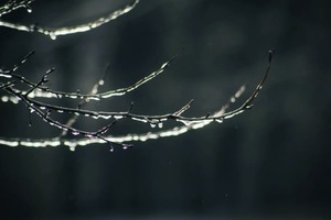 Народные приметы на 28 февраля 2024 года. Какой церковный праздник празднуют в Украине