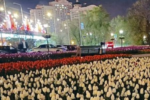 На болотах стверджують, що їх знову атакують безпілотники