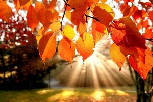 Синоптики назвали дату, когда ворвутся холода