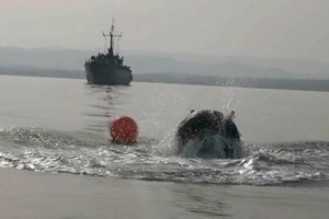 Страны черноморского басейна прилагают усилия для разминирования в Черном море