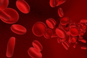 Группа крови может рассказать о человеке все