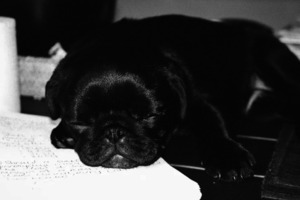 Сон в ночь с 12 на 13 марта 2023 года: толкование по лунному календарю