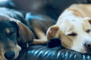 Сон в ночь с 26 на 27 октября 2022 года: толкование по лунному календарю