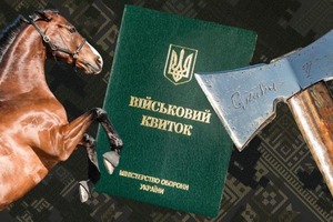 Нападение с конем и топором. Что известно об избиении работников ТЦК в Черновицкой области