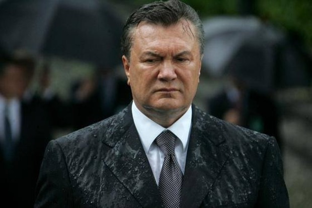 Янукович и Шуляк будут свидетельствовать 25 ноября в Святошинском суде по делу «пяти экс-беркутовцев»