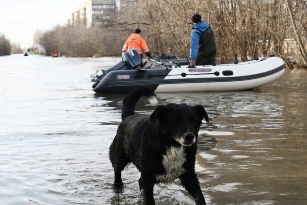 На болотах заходів міста, що тоне, закликав до того, що буде гірше