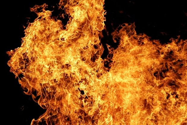В Киевской области сгорела пилорама