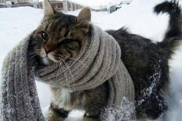 Завтра в Украине ожидаются морозы до -28 градусов