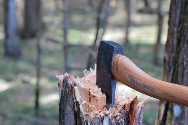 Карма: дерево вбило чоловіка, який займався незаконною вирубкою лісу