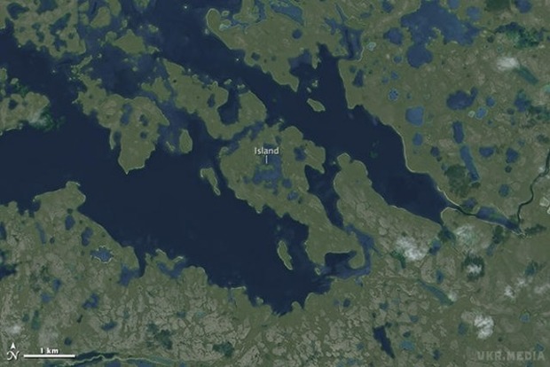 NASA обнаружили необычный остров, который находится в озере‍