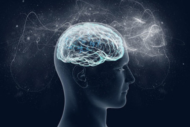 Нейропластика мозга: как сила мысли может изменить жизнь