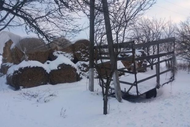 Я втомилася: Горе-матір покинула двомісячну доньку на морозі на Харківщині