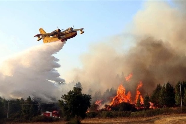 На юге Испании продолжаются лесные пожары