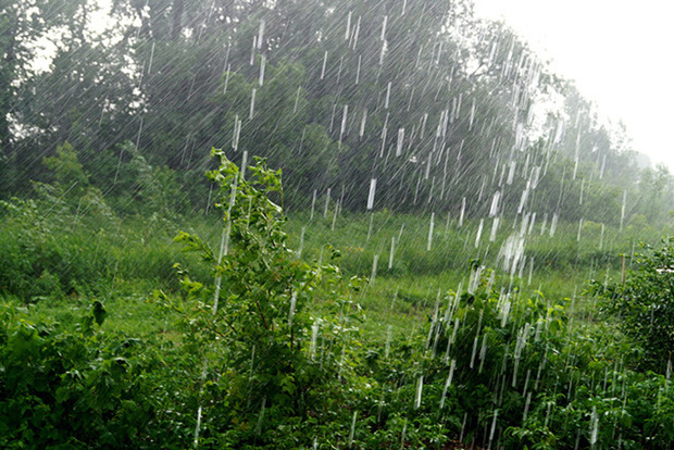 Штормове попередження в Україні: очікуються дощі, грози і сильний вітер