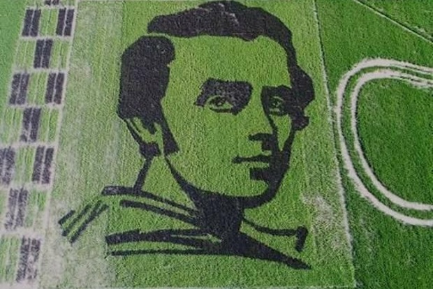 На полях Херсонщины появился огромный портрет Шевченко