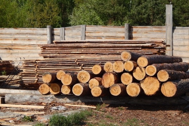 В Житомирской области разоблачен крупный нелегальный экспортер древесины