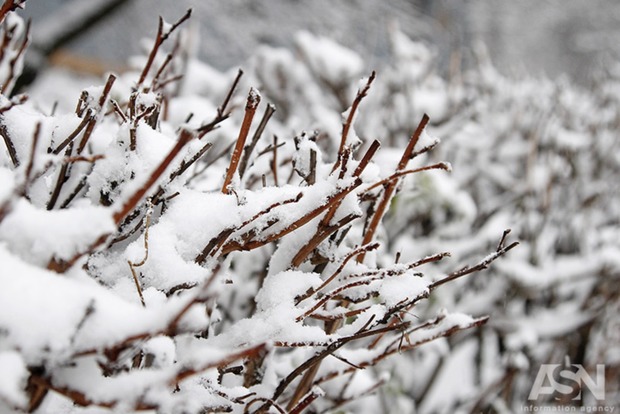 Снігопади повертаються в Україну
