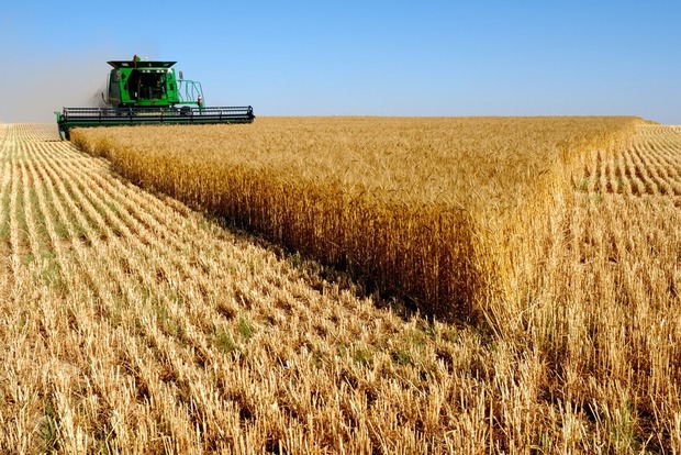 У РФ через дефіцит пшениці впала якість хліба
