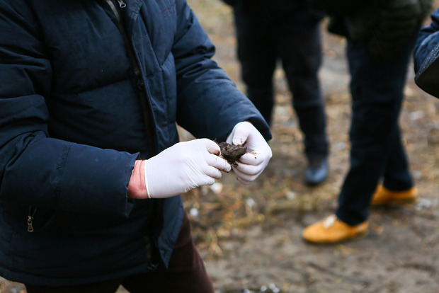В Киеве возле вокзала нашли человеческие кости