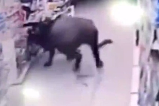 Разъяренный буйвол разнес супермаркет в Китае