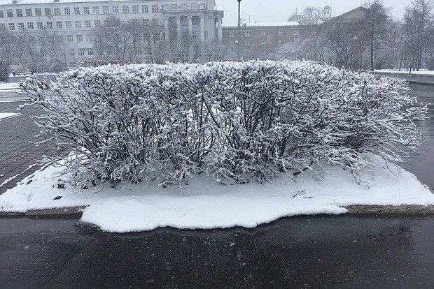 Сніг у російському Єкатеринбурзі. Фото стихії