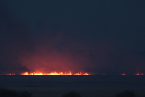 В Одесской области загорелся национальный природный парк