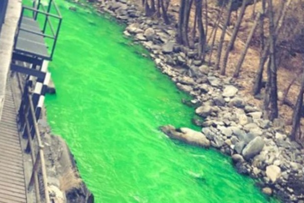 В Испании река окрасилась в ярко-зеленый цвет