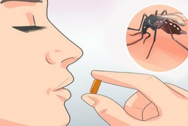 Витамин, который разгоняет комаров. Найден интересный способ защиты от кровососов