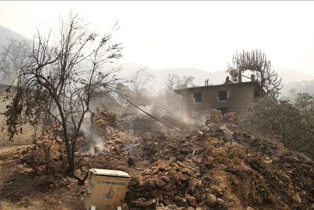 В Турции локализованы 122 из 129 лесных пожаров