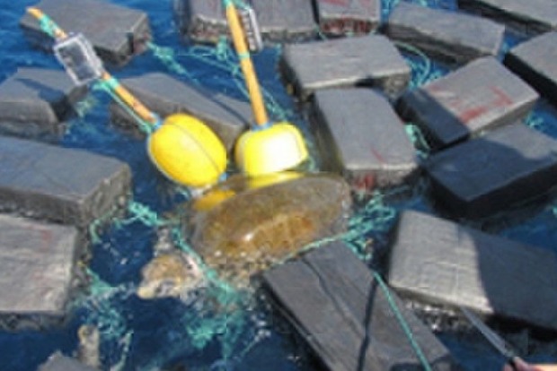 В Тихом океане спасли черепаху, тонувшую из-за кокаина