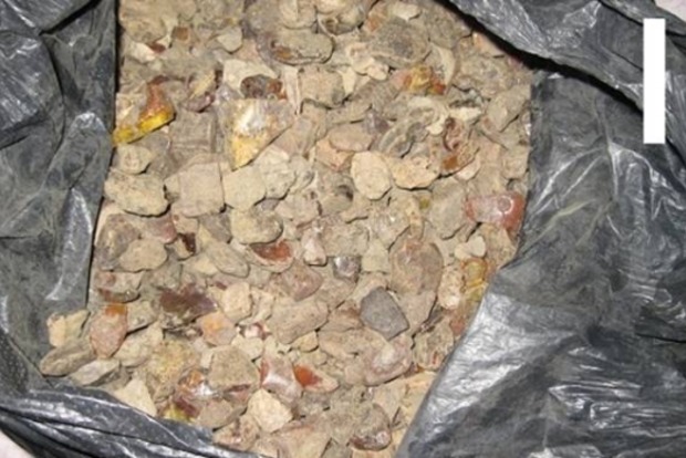 В Житомирской области нашли 340 килограммов янтаря