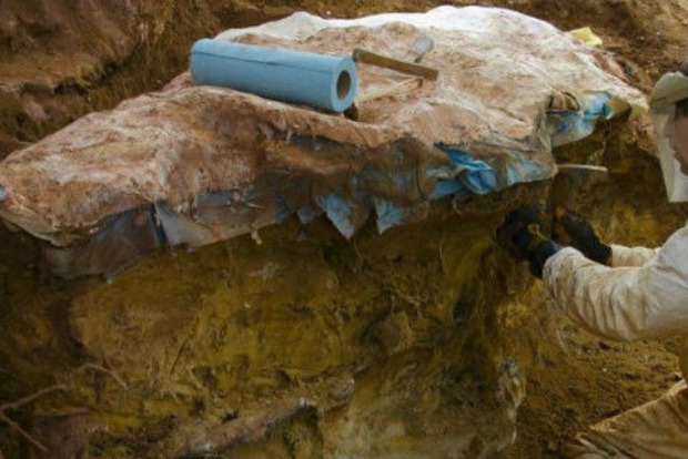 На парковці NASA знайшли величезні сліди динозаврів