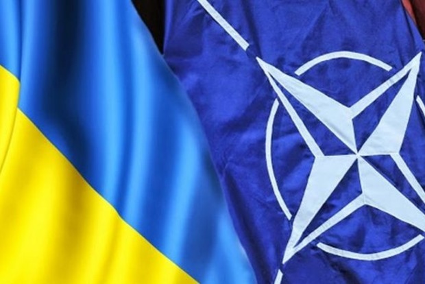 Елисеев: Референдум о вступлении в НАТО может быть проведен после достижения ВСУ критериев Альянса