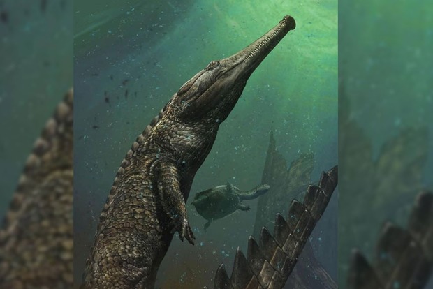 У Китаї знайшли останки крокодилів віком понад 3 тис. років