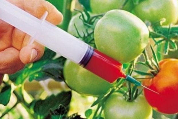 В Украине зарегистрировано 1096 видов пестицидов, однако контроль над использованием отсутствует