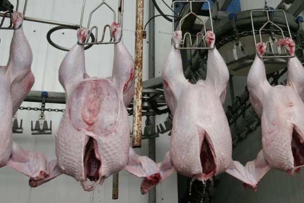 ЕС возобновил импорт украинской курятины