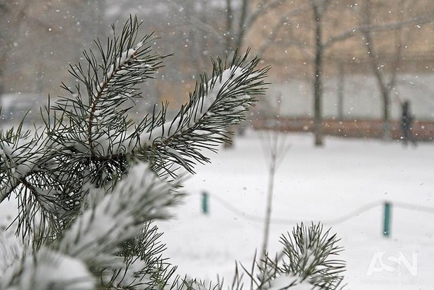 Половину України сьогодні накриють снігопади та хуртовини