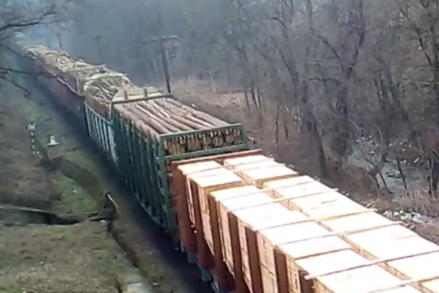 Ліс вагонами вивозять: українців обурили поїзда з лісом-кругляком