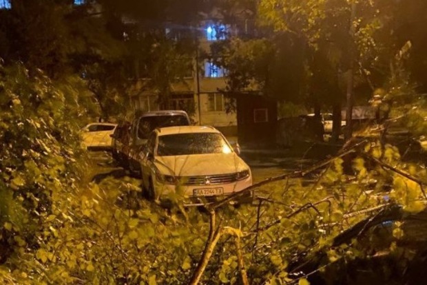 Непогода в Киеве. Сильный ветер валит деревья