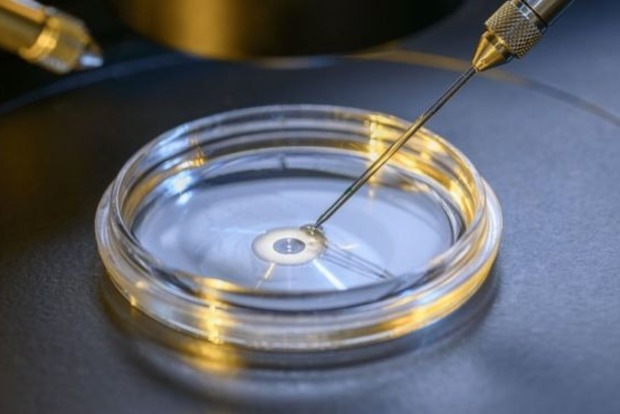 Китайские ученые отредактировали человеческий эмбрион