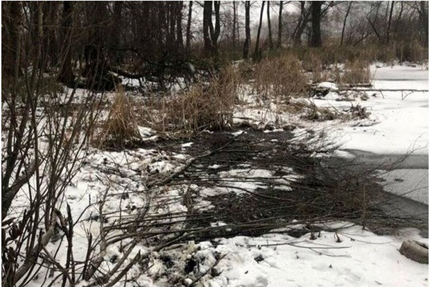 В одному з київських ставків знайшли труп