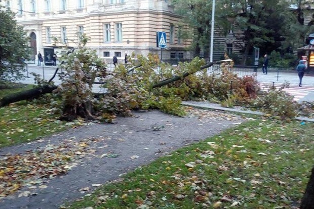 Во Львове прошла буря, дороги частично перекрыты