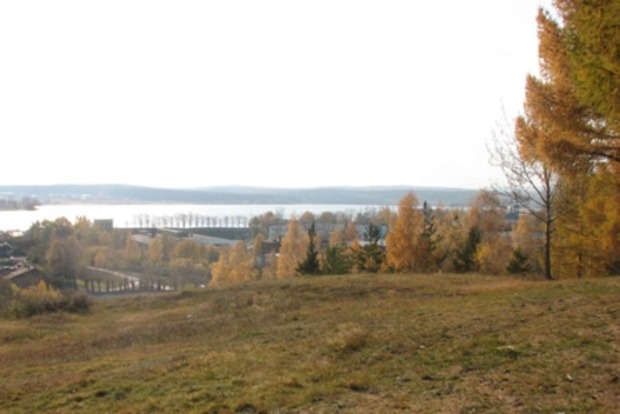 Прокуратура Київської області повернула державі майже 1000 га мисливських угідь