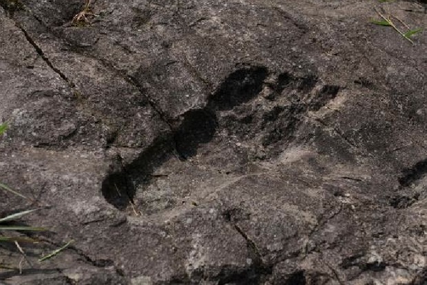В Танзании были обнаружены следы великана‍