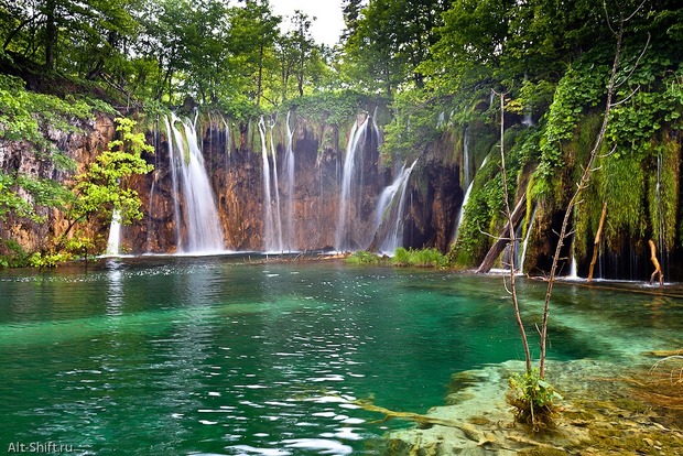 Обнаружено 30 неизвестных видов животных в пещерных озерах Хорватии 