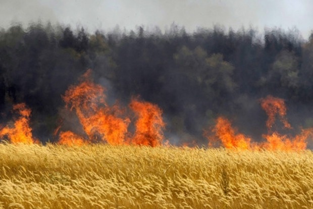 В ближайшие дни в Киеве ожидается чрезвычайная пожарная опасность